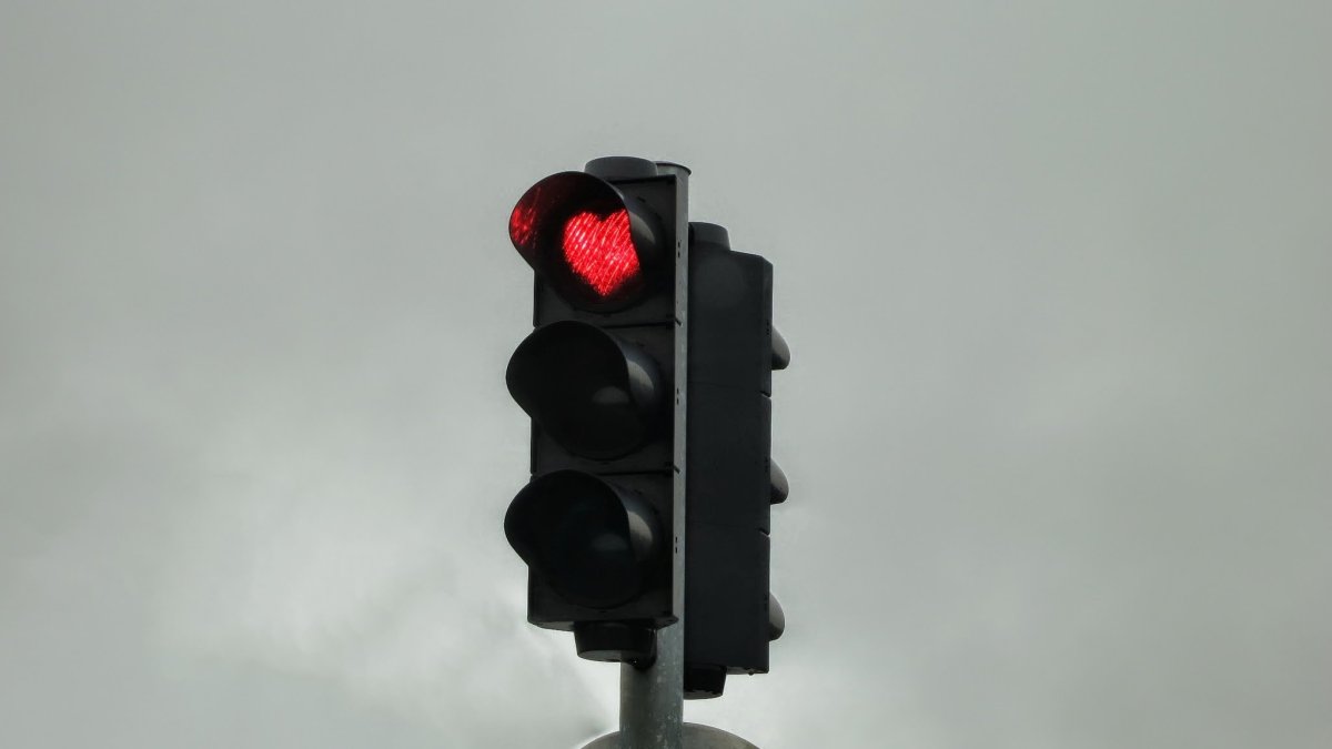 Магазин светофор в Петергофе