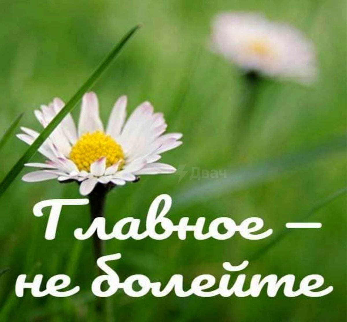 Скорейшего выздоровления