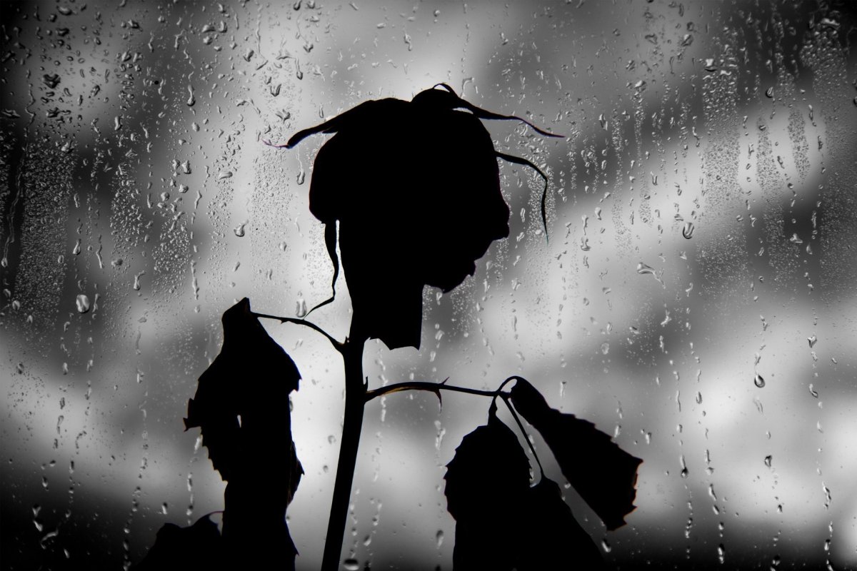 Грустные картинки