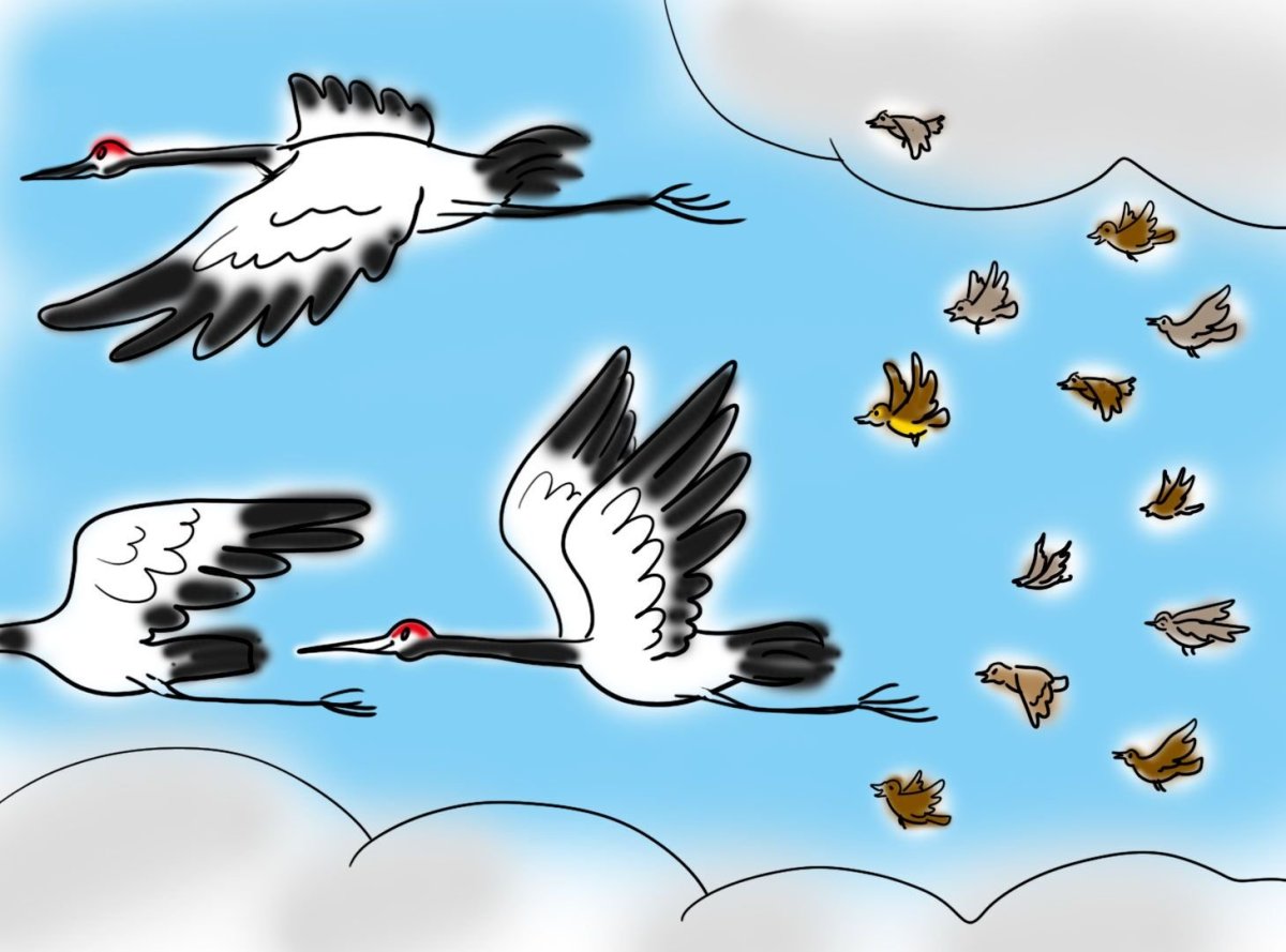 Грачи группа птиц