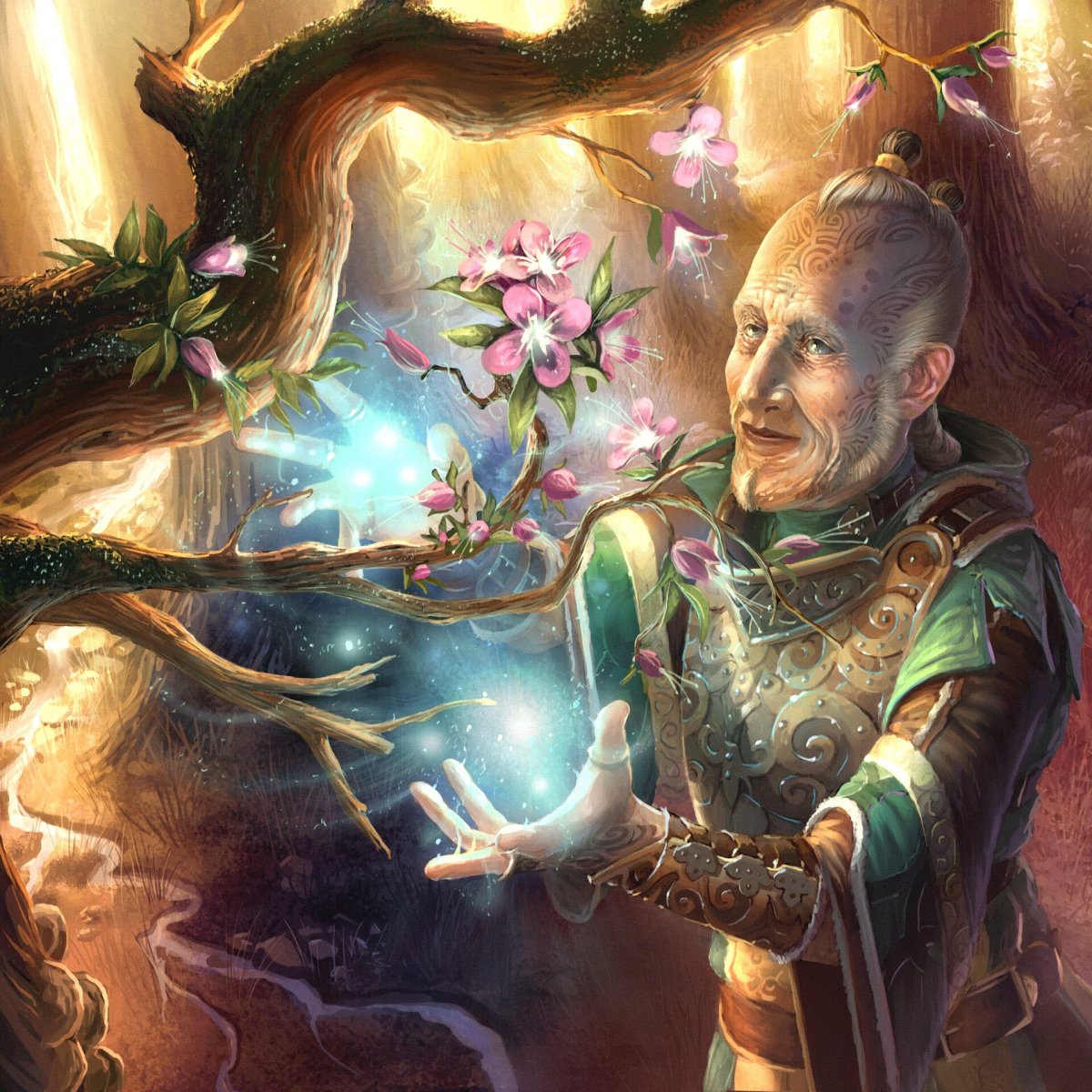 Аниме фэнтези маг целитель