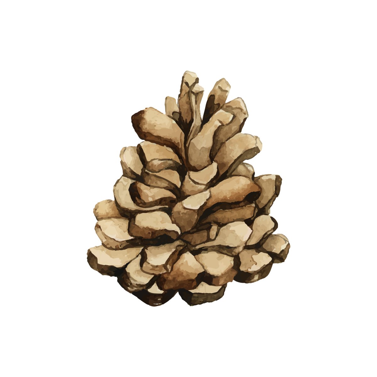 Шишки рисовать