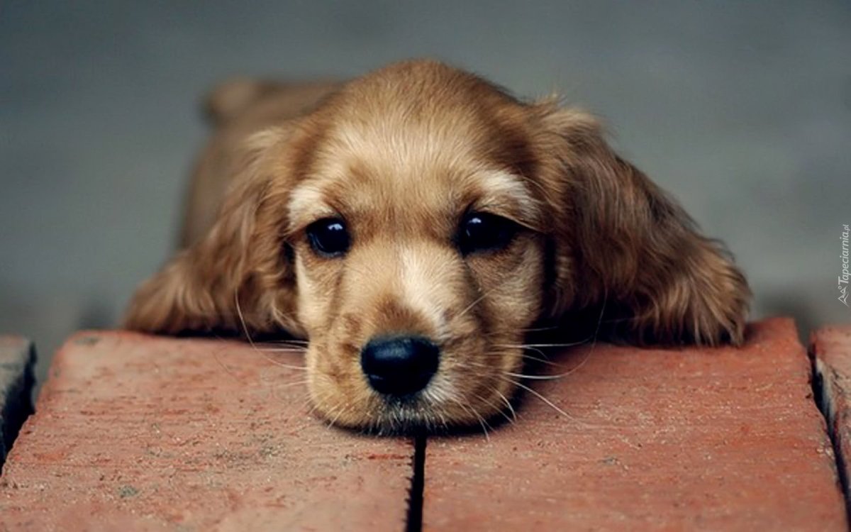 Прости меня картинки