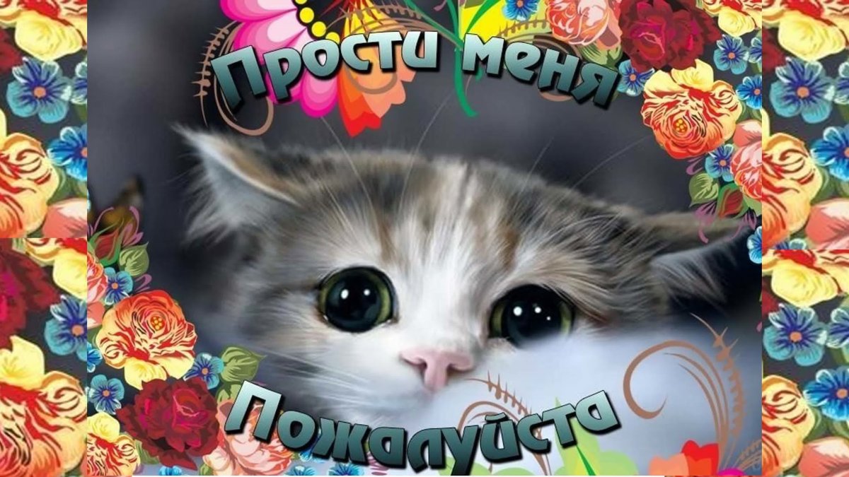 Мне очень стыдно картинки