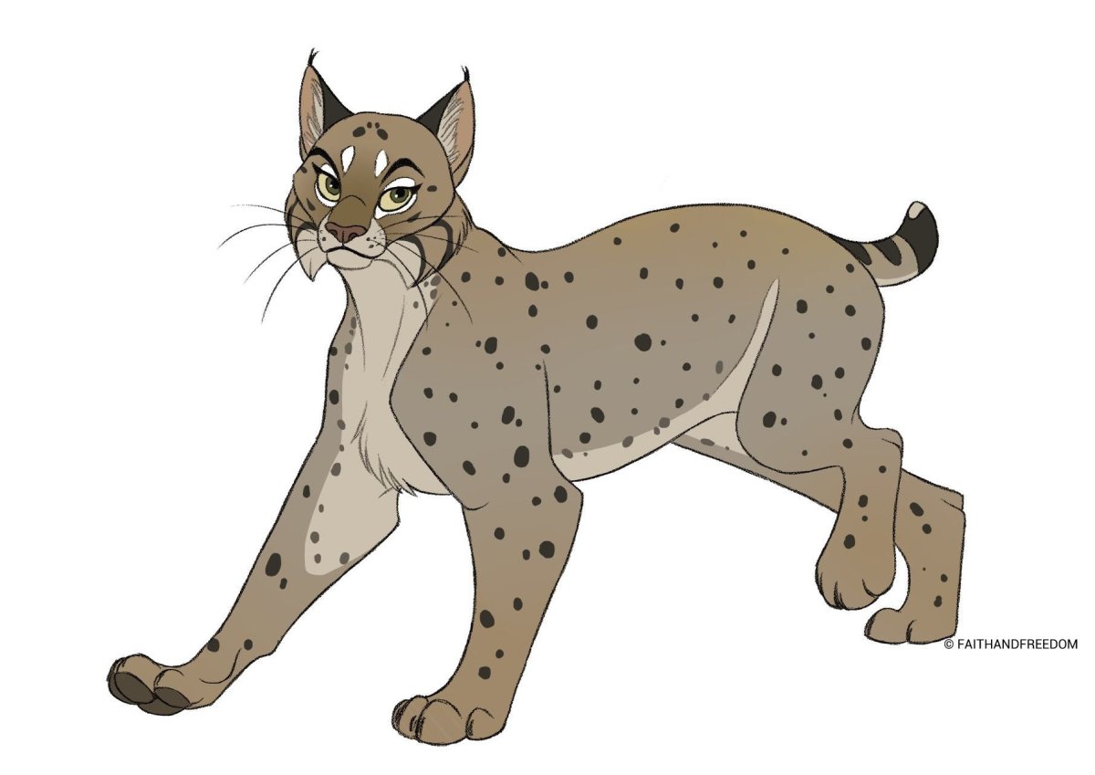 Рысь для детей