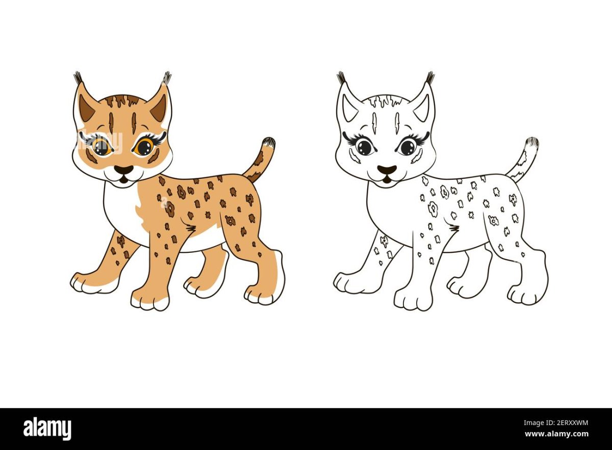 Рысь в Башкирии