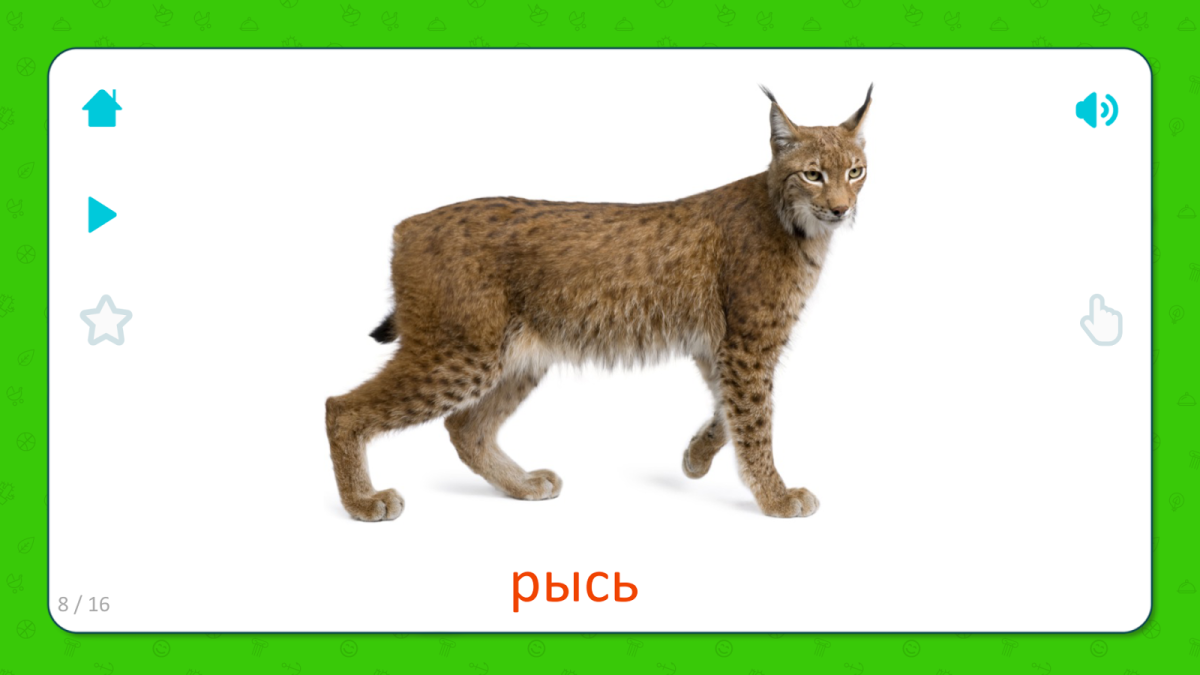 Рысь гравировка