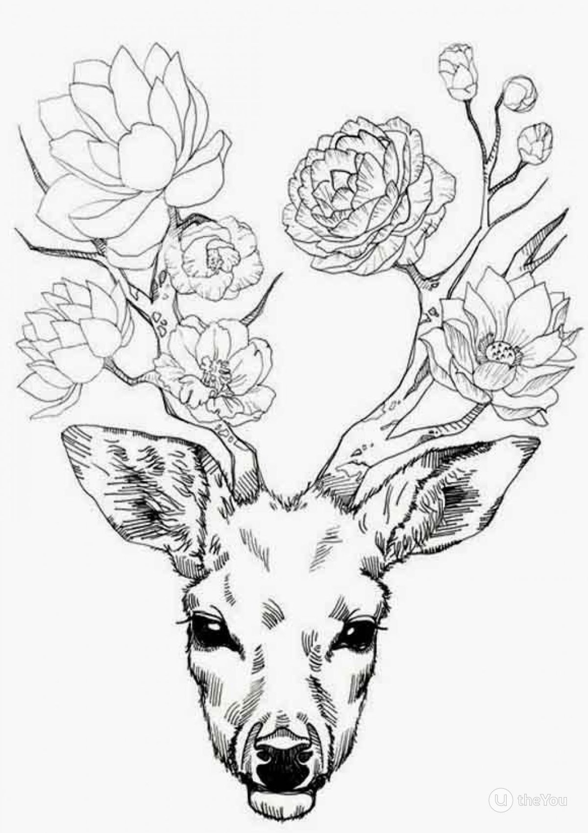 Эскизы рисунков