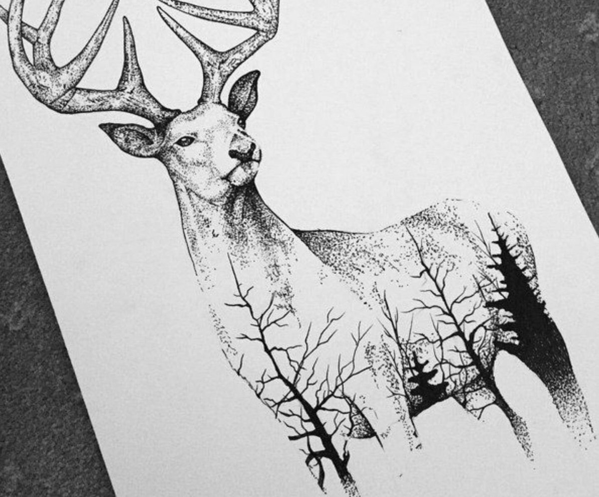 Олень в треугольнике