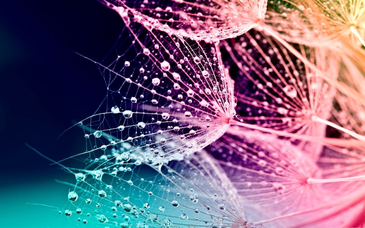 Вертикальные красивые обои на телефон