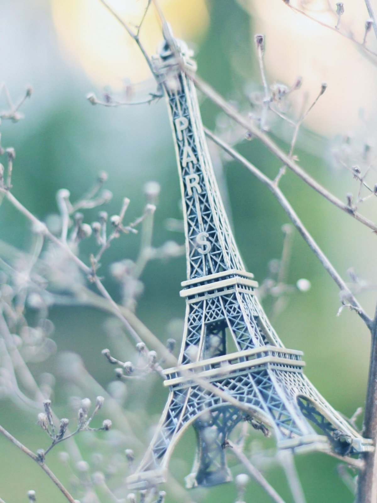 Цветы вертикальные