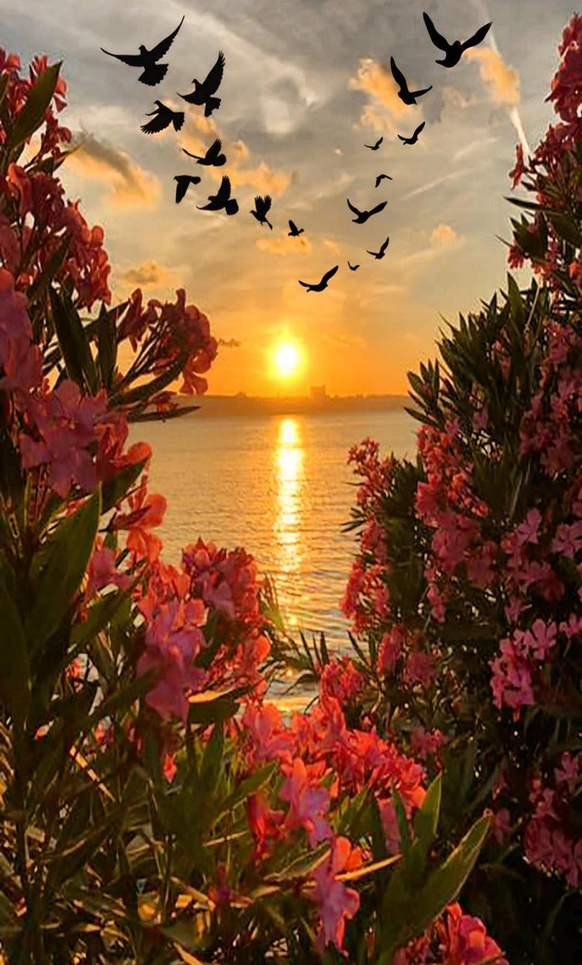 Волшебные бабочки