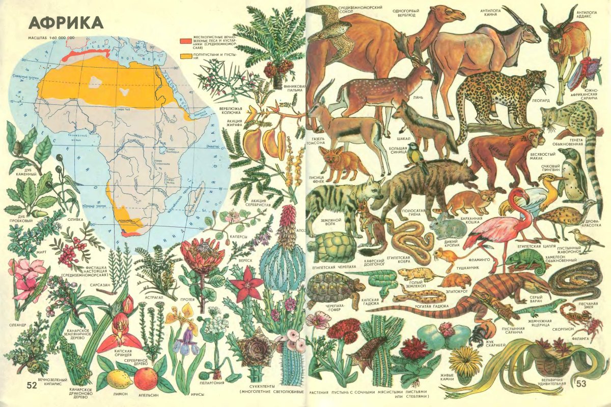 Атлас мир и человек Африка