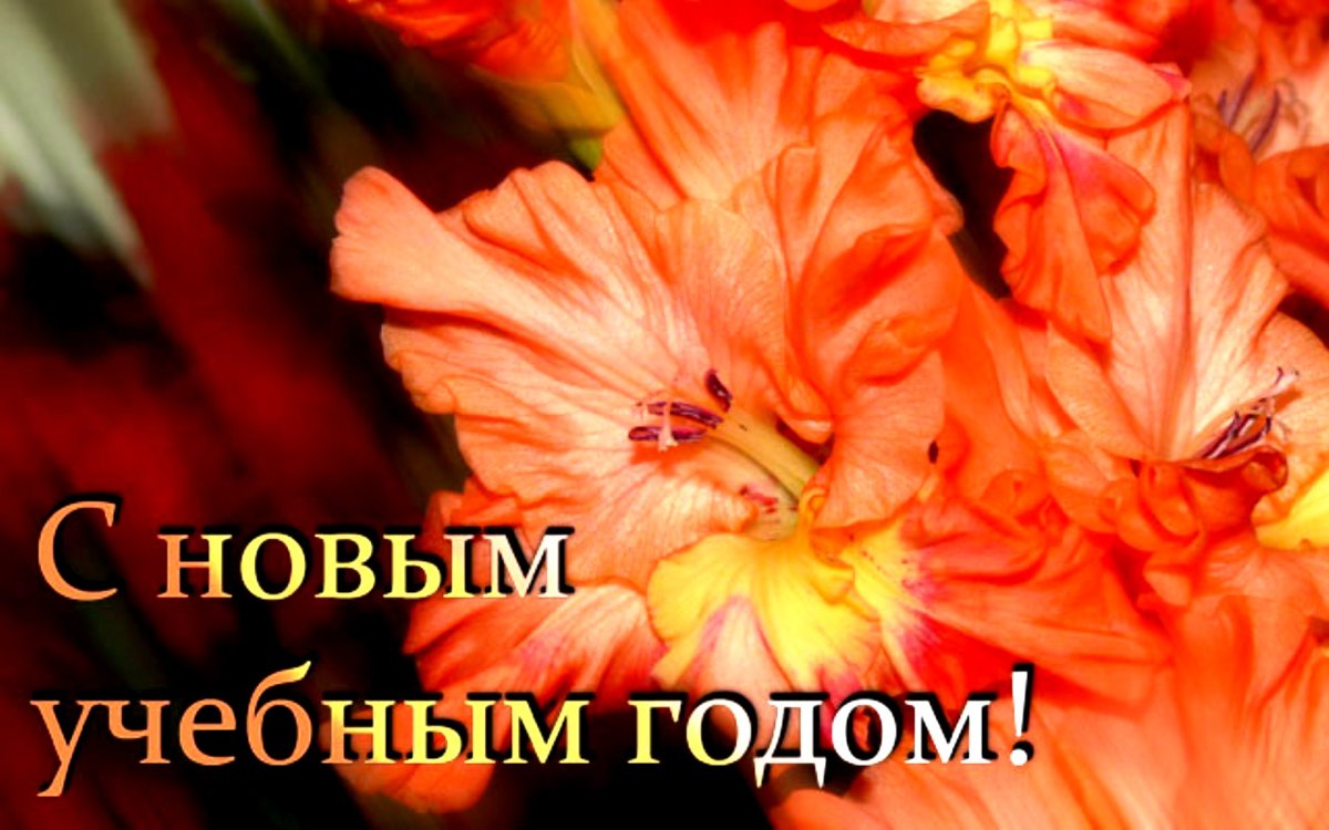 С началом учебного года