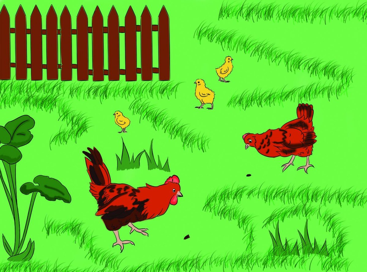 Петушок и бобовое зернышко сказка