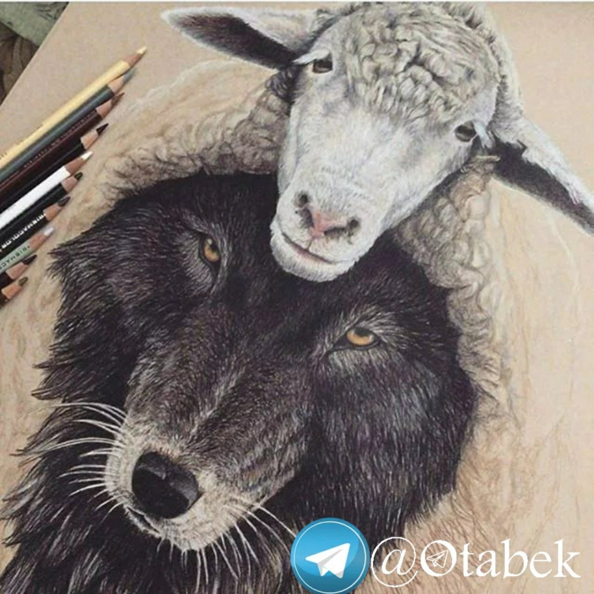 Волк в шкуре овцы