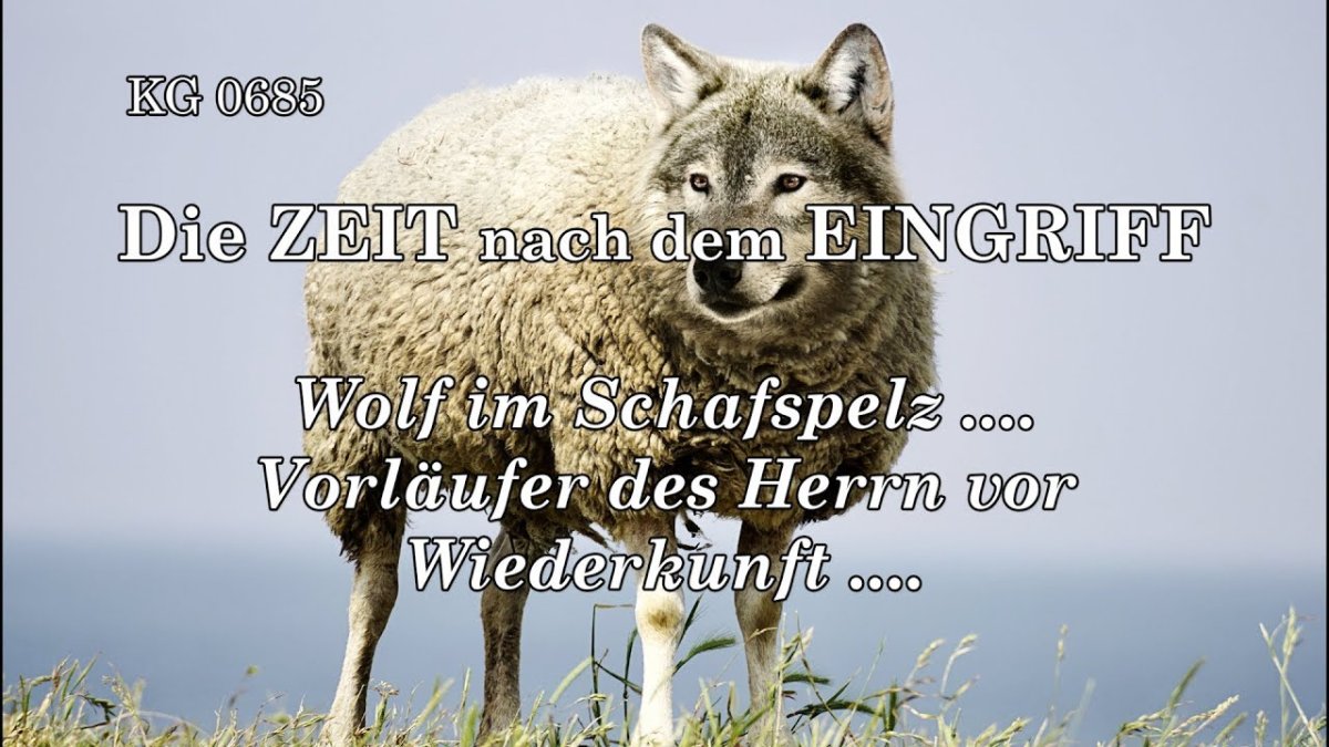 Волк в овечьей шкуре цитаты