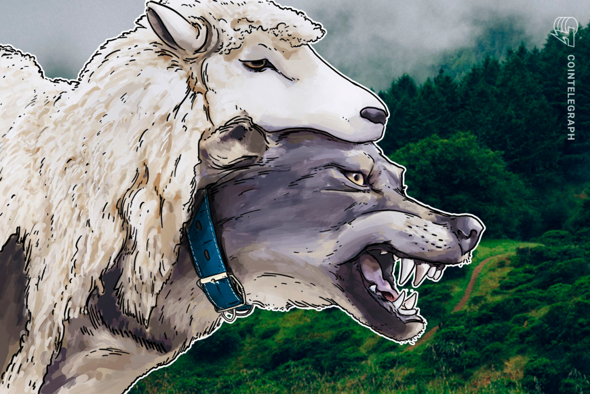 Волк в овечьей шкуре