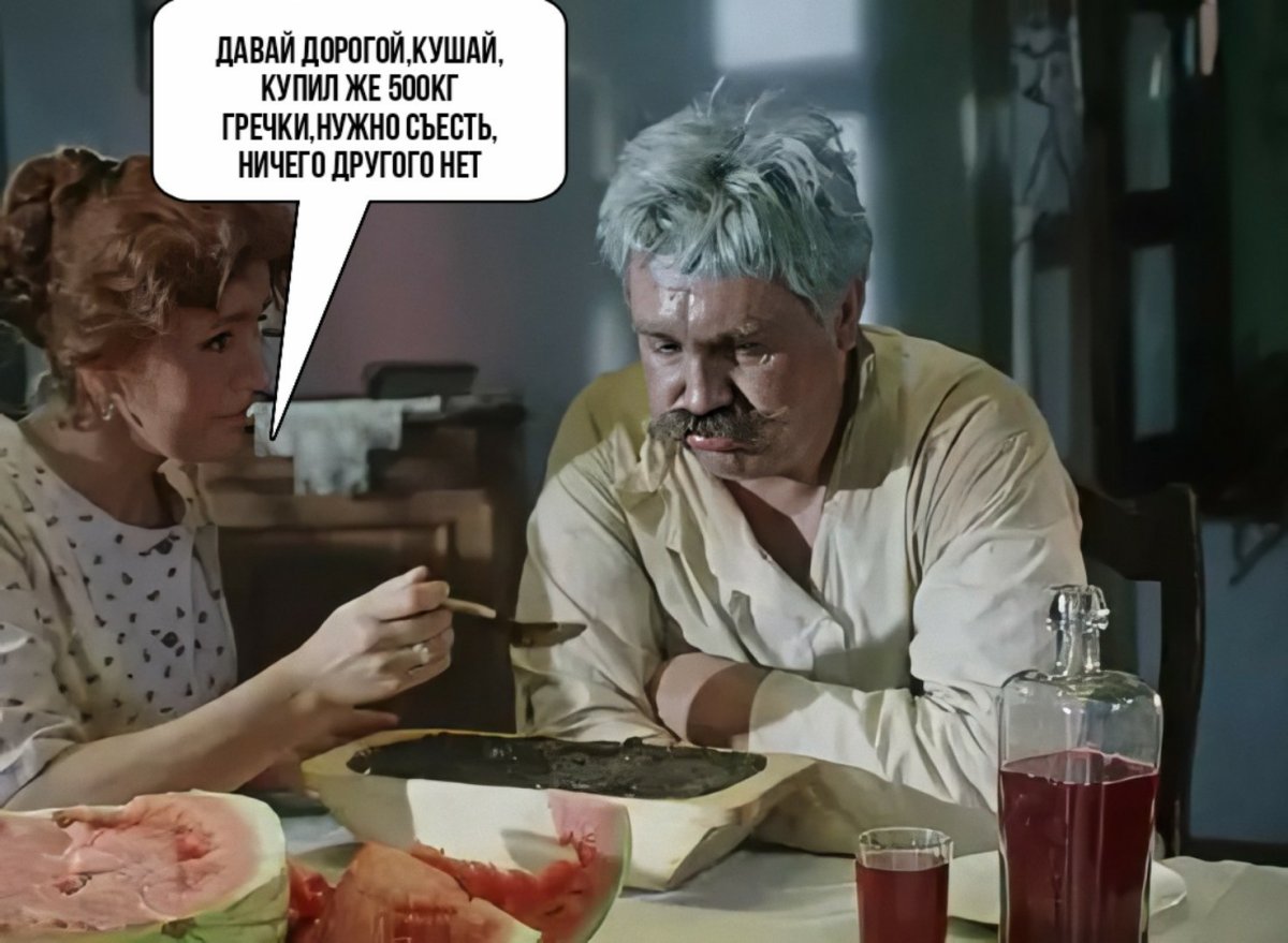 Наглый толстый рыжий кот