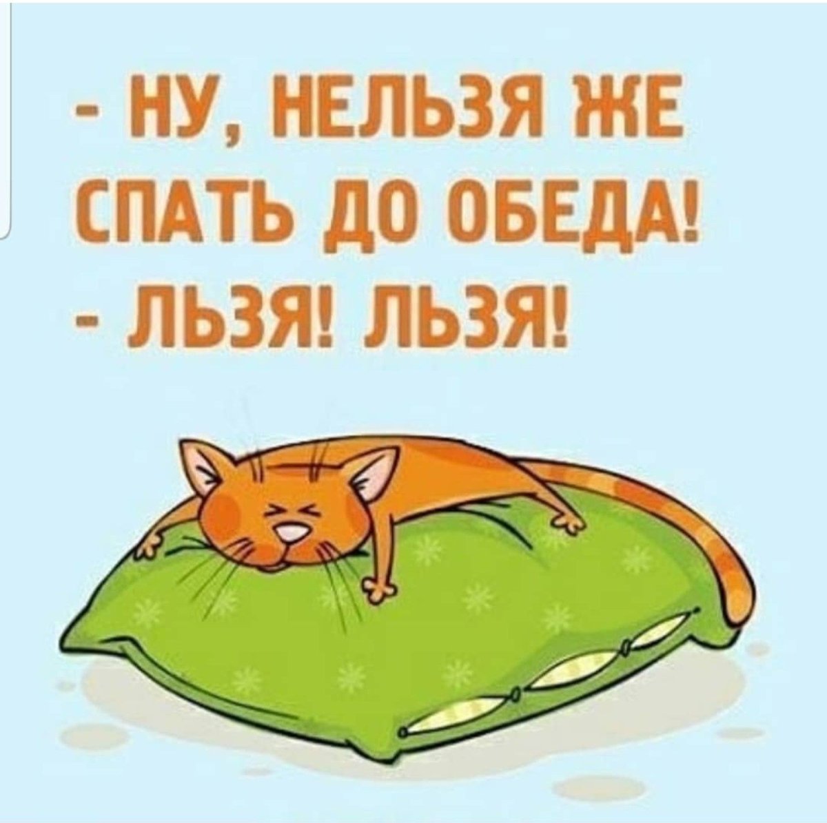 Котенок в тарелке