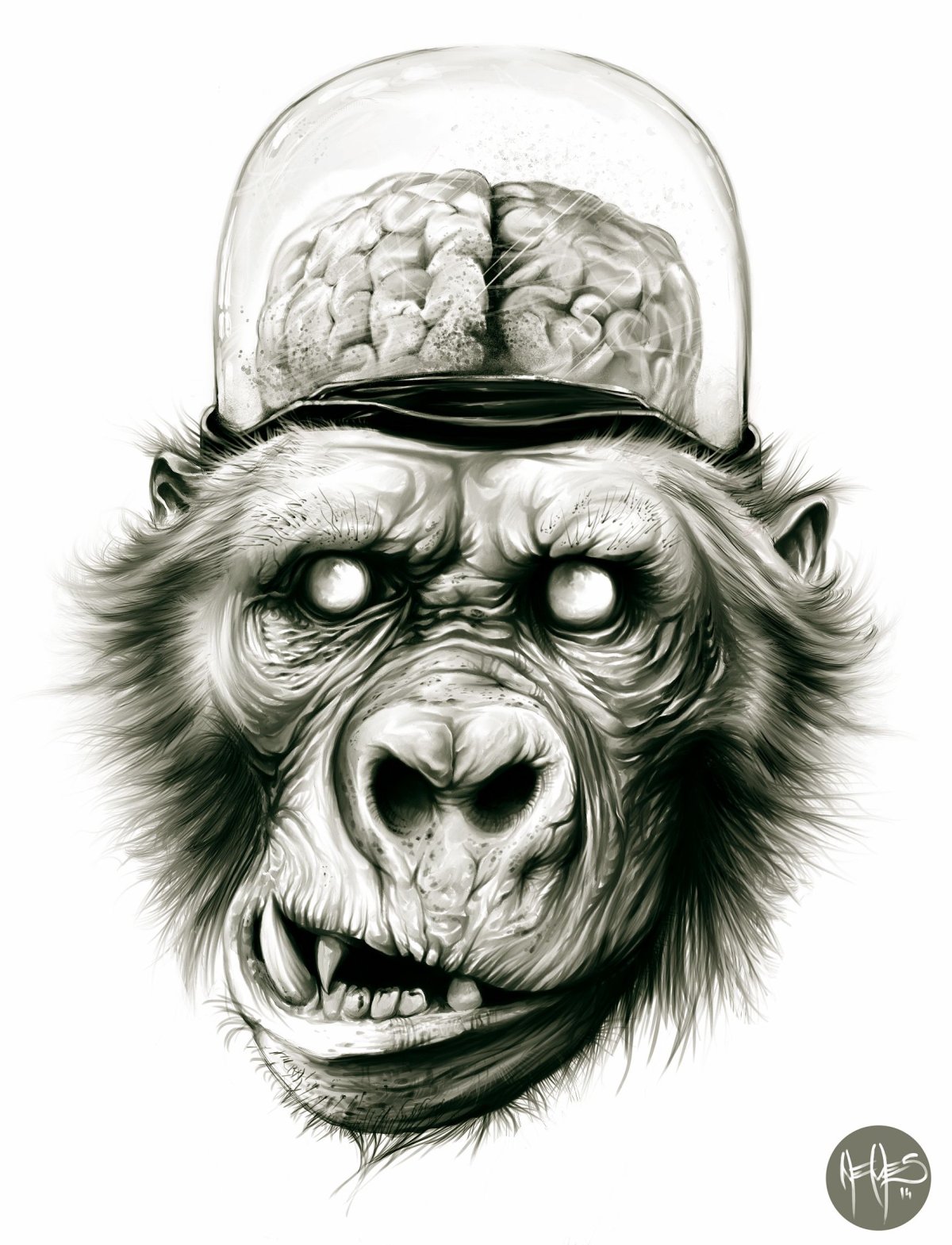 Обезьяна горилла злая страшная