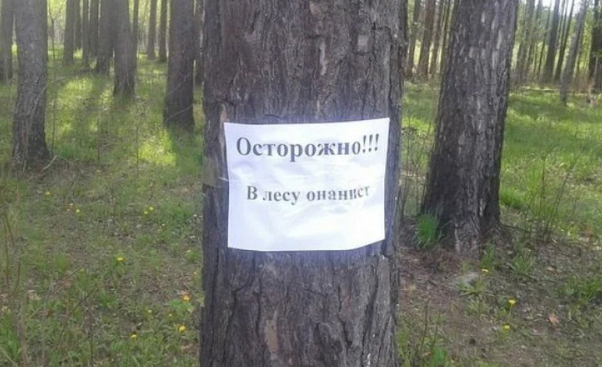 Приколы в лесу