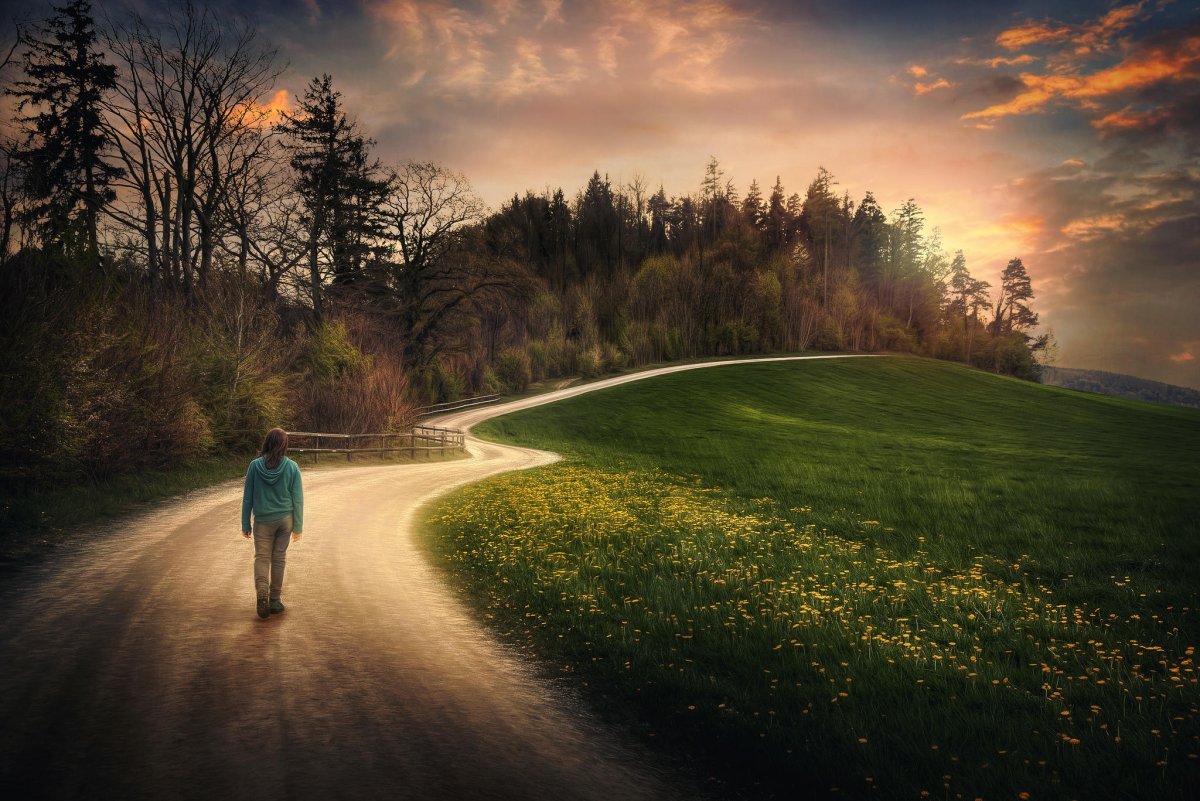 Путь в лесу