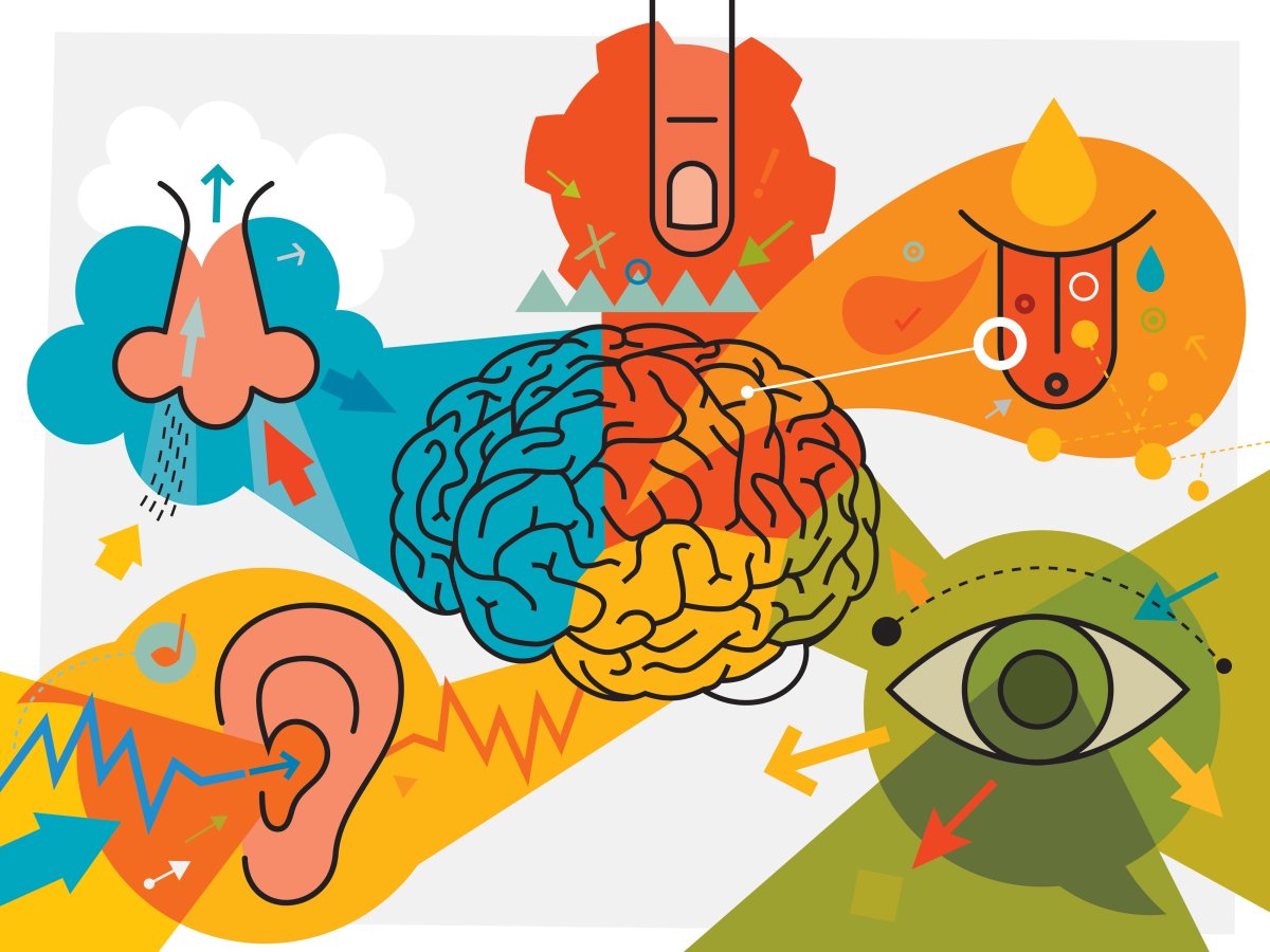 Трансформация сознания