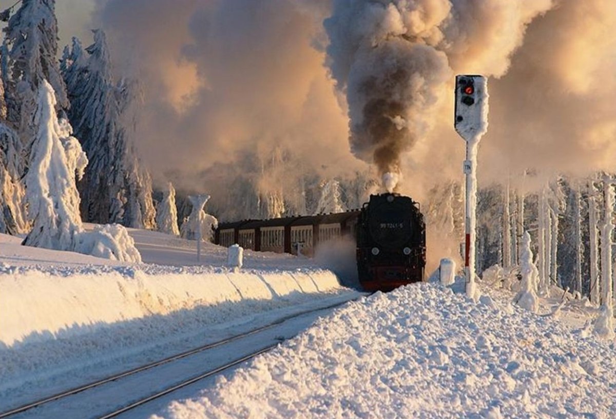 Вид из окна поезда