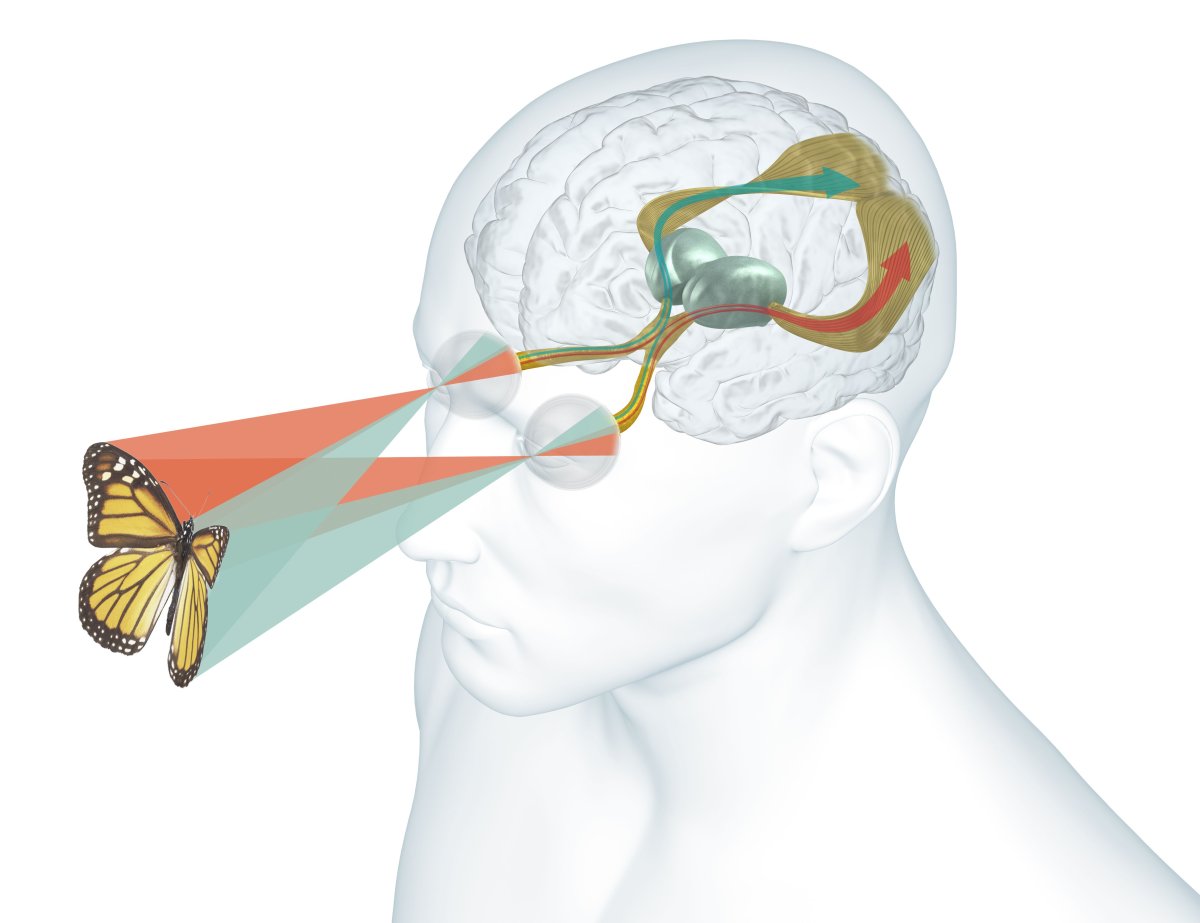 Креативная Графика