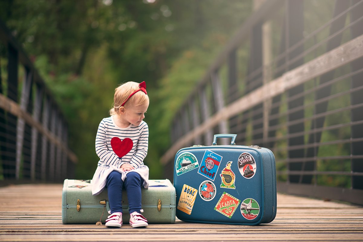 Чемодан путешественника