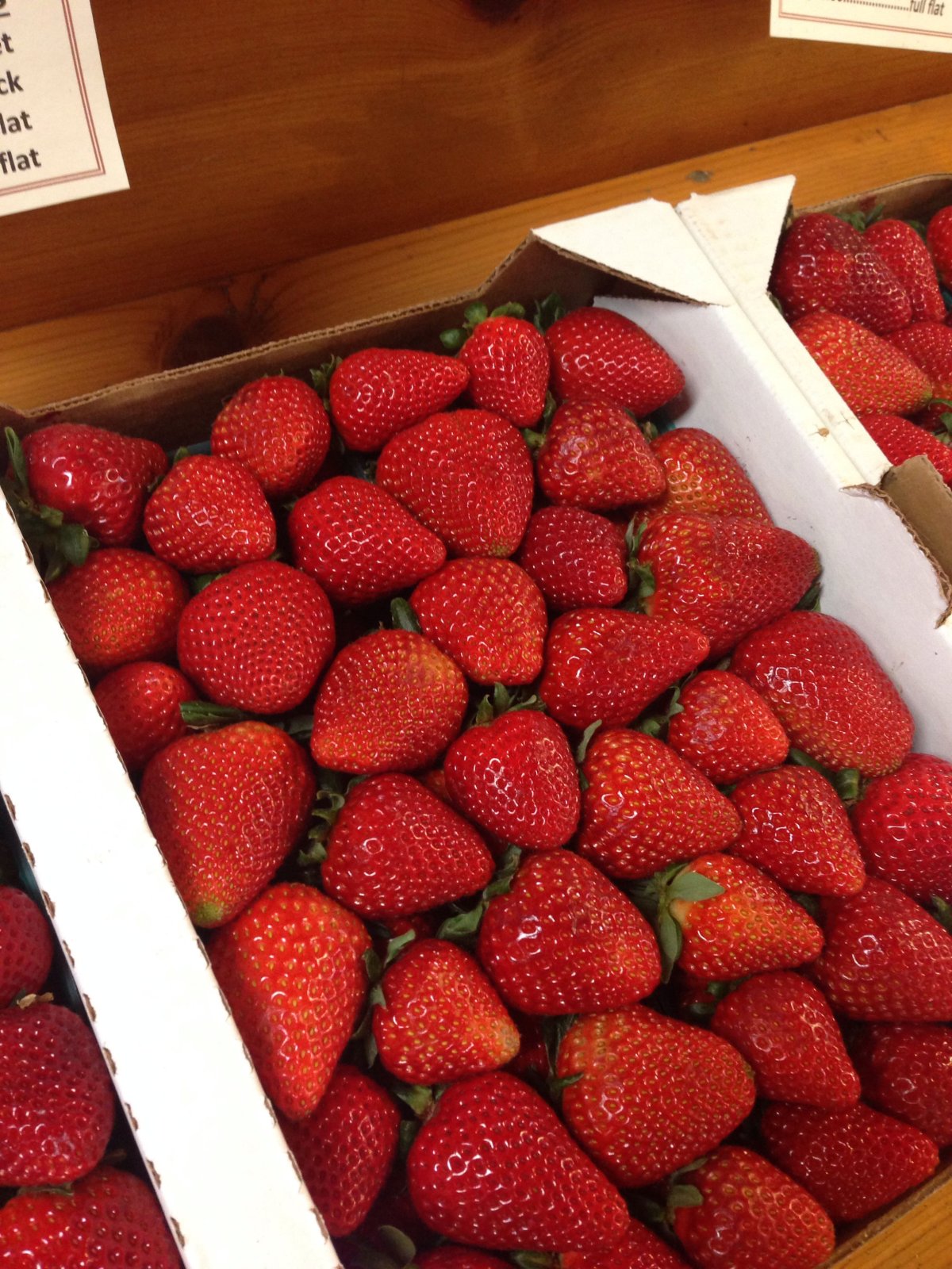 Вероника клубника