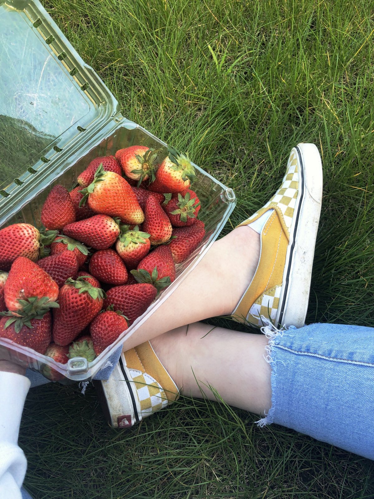 Клубника Эстетика