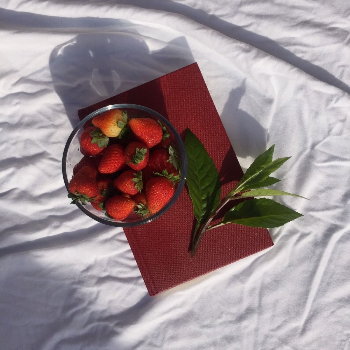 Клубника коллаж