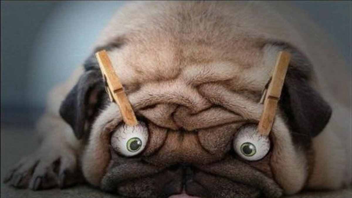 Будильник проспал