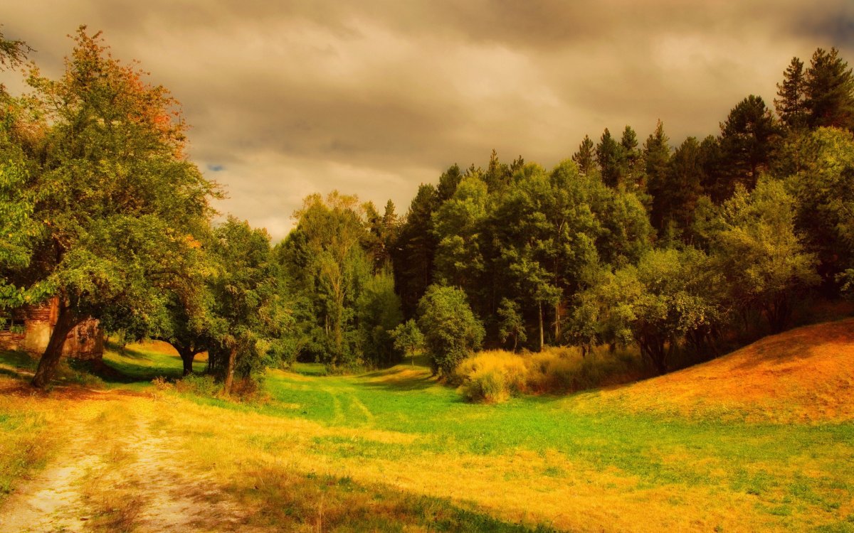 Летний пейзаж