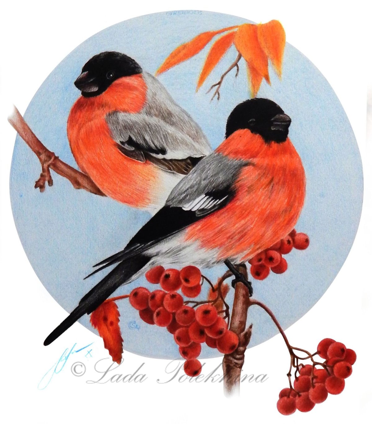 Анна Снегирь