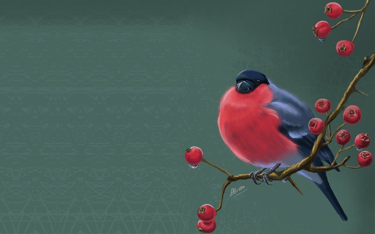 Снегирь на ветке рябины