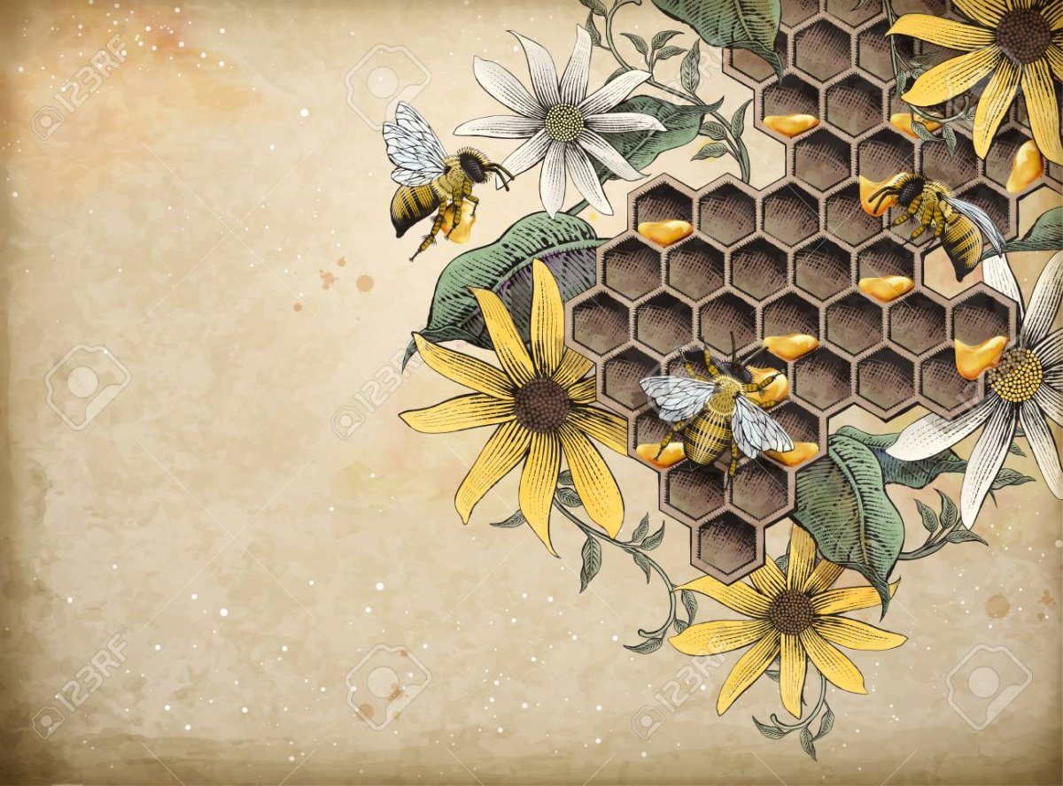 Пчелы, пасека ретро вектор