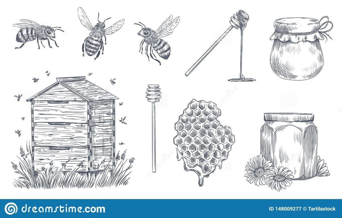 Пасека Графика