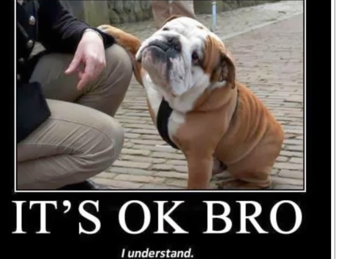 Демотиваторы не унывай