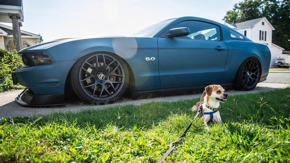 Доброе утро Автомобилисты