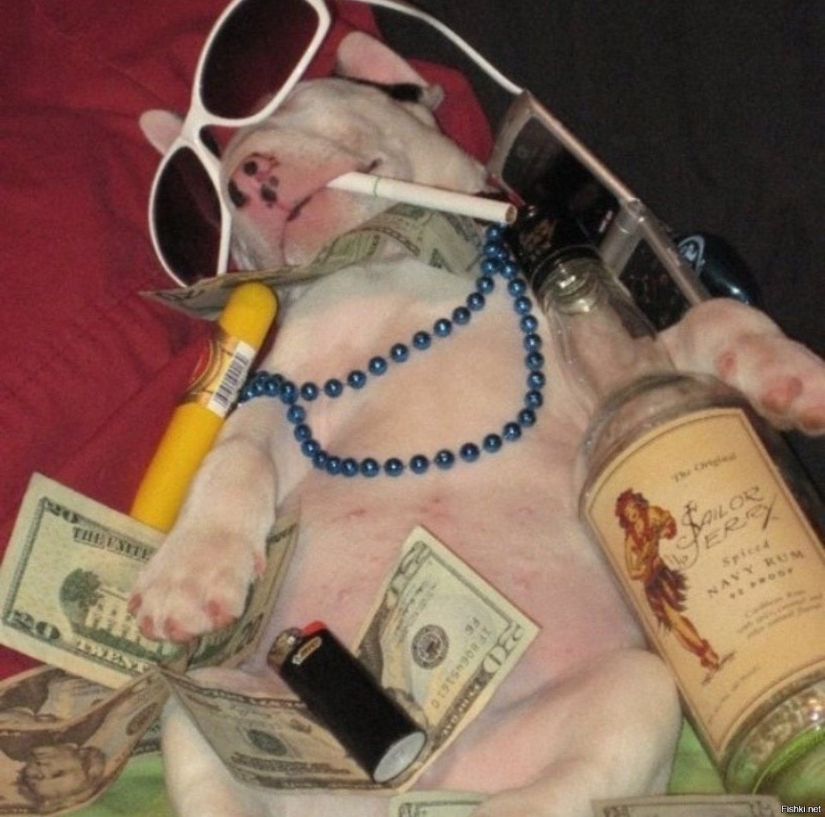 Я В отпуске прикольные