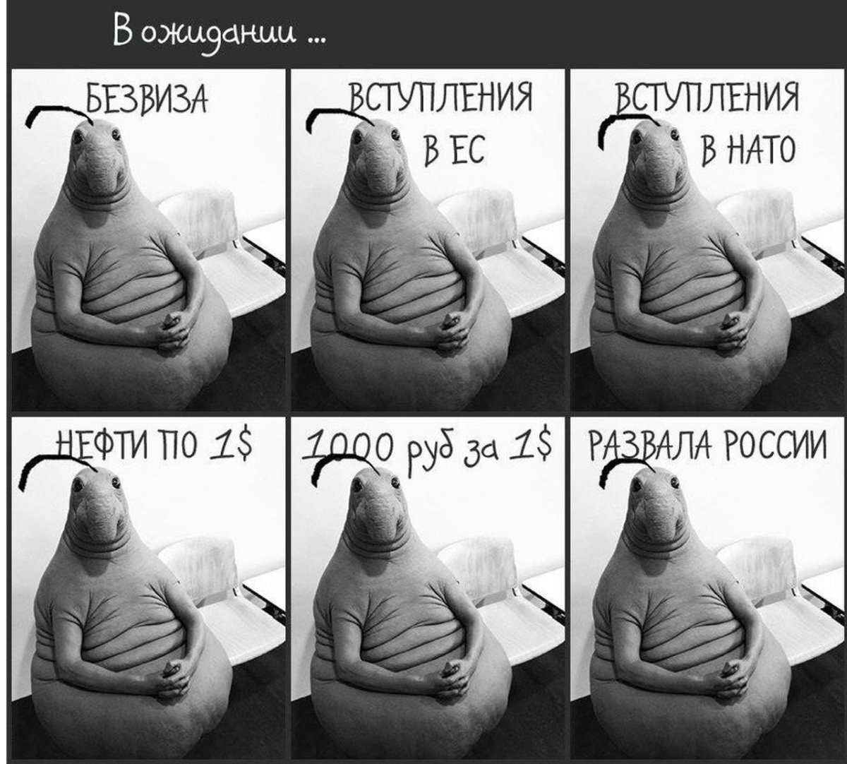 Ждун невеста