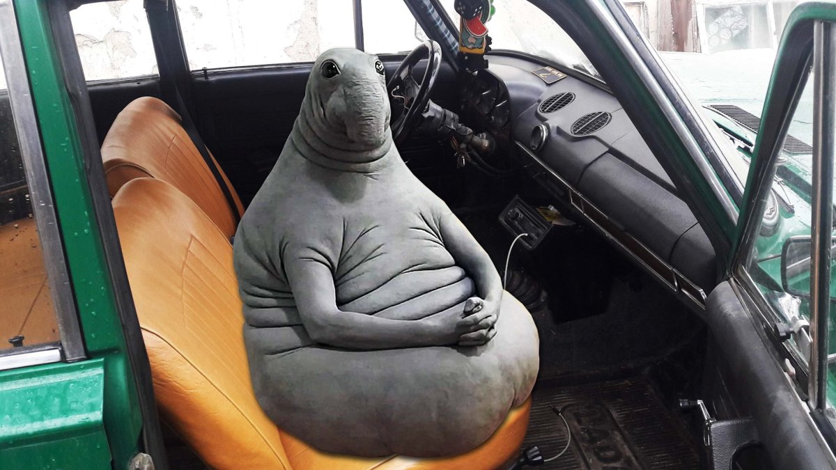 Ждун Зеленоград