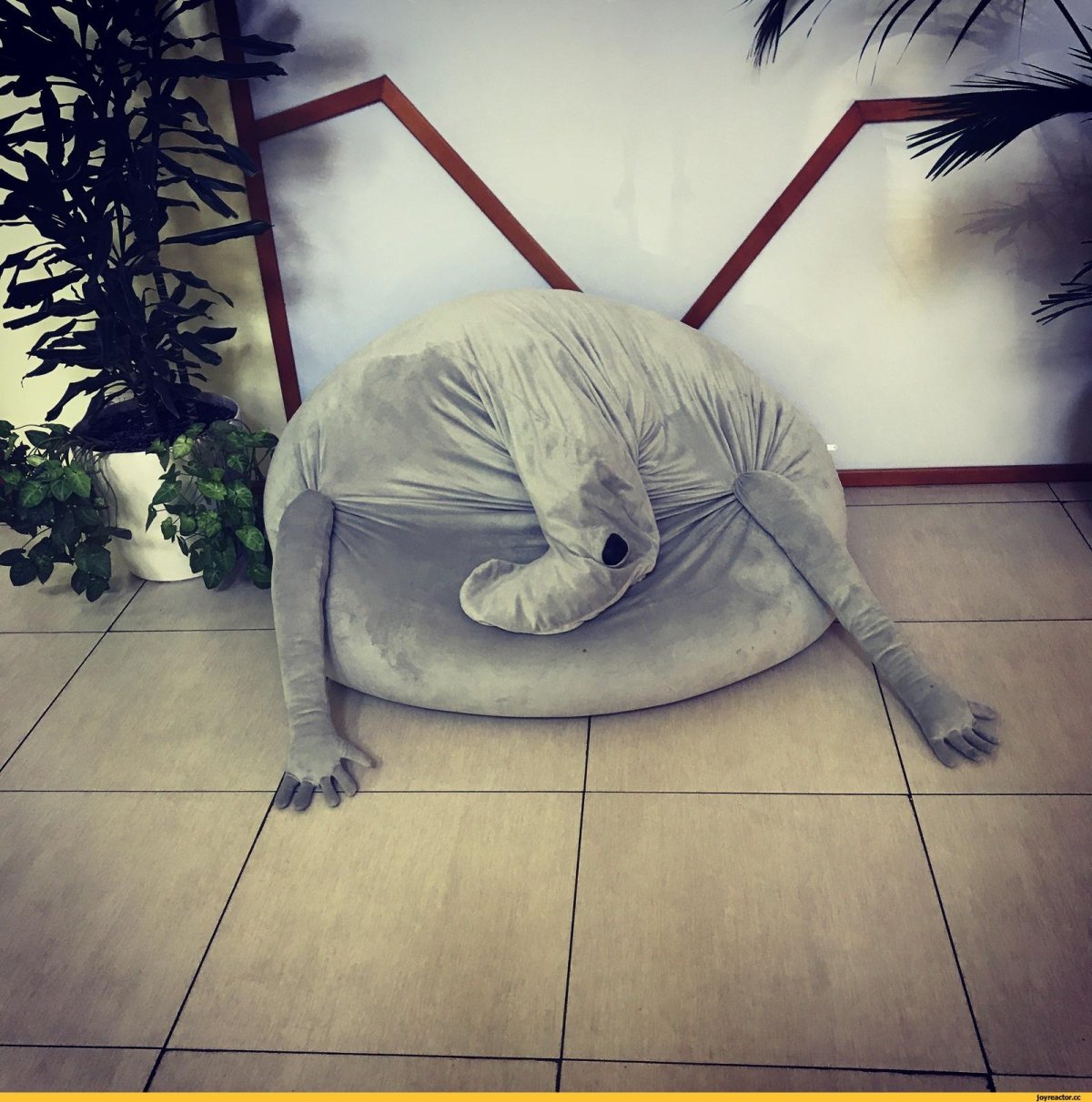 Ждун перед компом