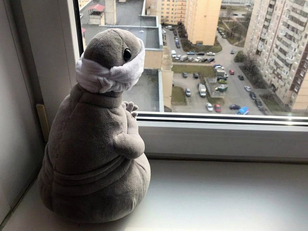 Ждун девушка