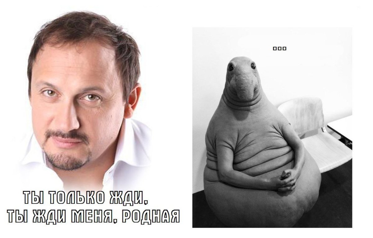 Ждун прикольные с надписями