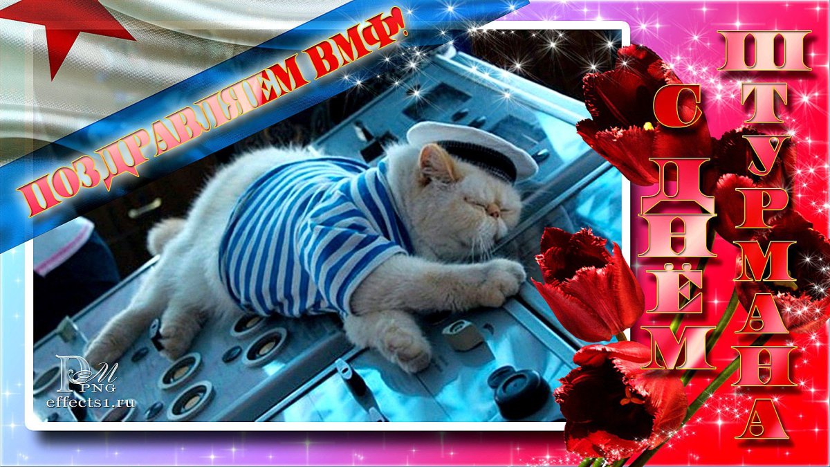 Штурманская служба ВВС России