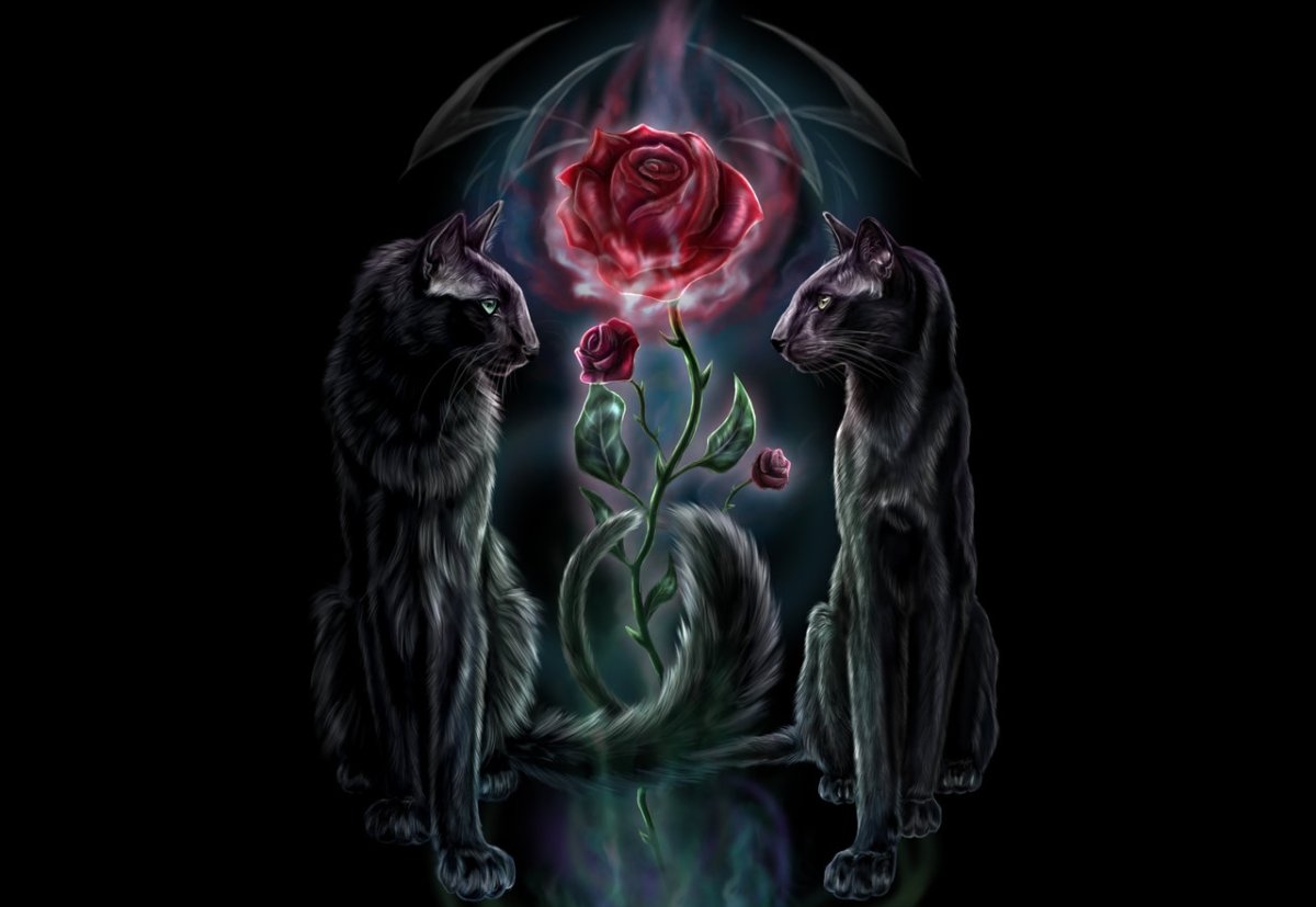 Мистические шикарные цветы